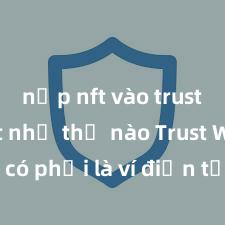 nạp nft vào trust wallet như thế nào Trust Wallet có phải là ví điện tử tốt nhất tại Việt Nam không?