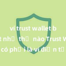 ví trust wallet bảo mật như thế nào Trust Wallet có phải là ví điện tử uy tín tại Việt Nam không?